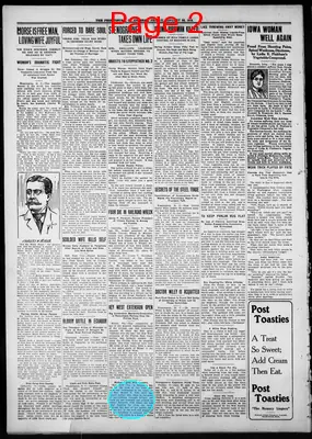 Page thumbnail for Perrysburg Journal