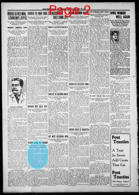 Page thumbnail for Perrysburg Journal