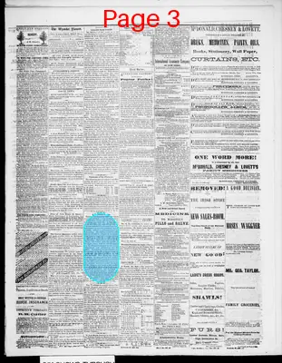 Page thumbnail for The Wyandot Pioneer