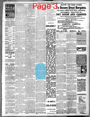 Page thumbnail for Springfield Globe Republic