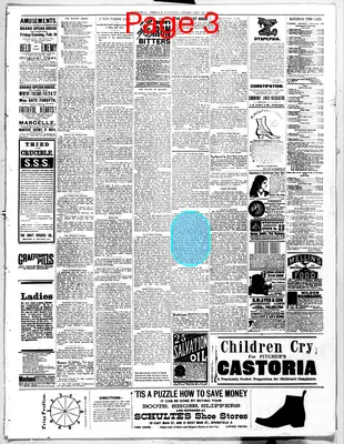 Page thumbnail for Springfield Daily Republic