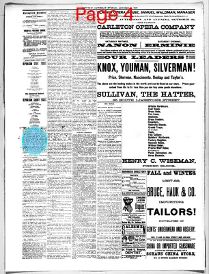 Page thumbnail for Springfield Daily Republic