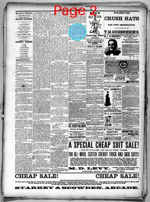 Page thumbnail for Springfield Daily Republic