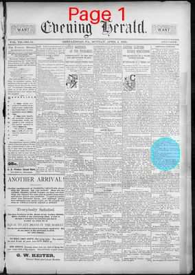 Page thumbnail for The Evening Herald