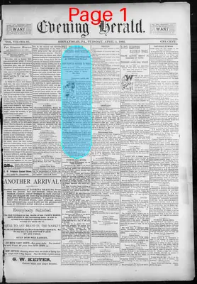 Page thumbnail for The Evening Herald