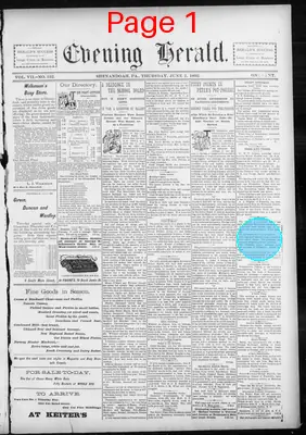Page thumbnail for The Evening Herald