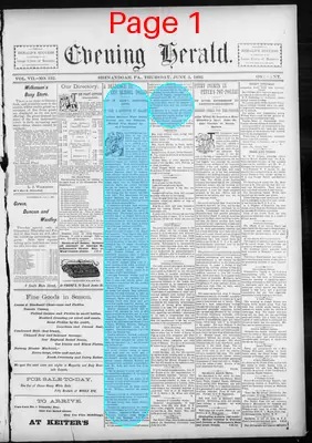 Page thumbnail for The Evening Herald