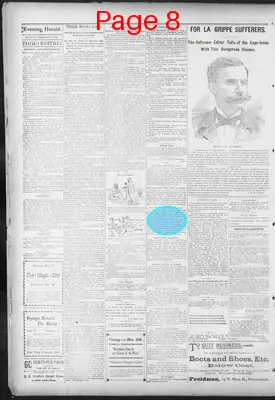 Page thumbnail for The Evening Herald