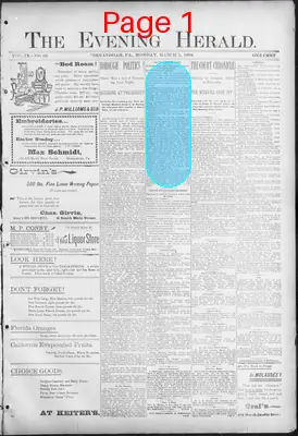 Page thumbnail for The Evening Herald