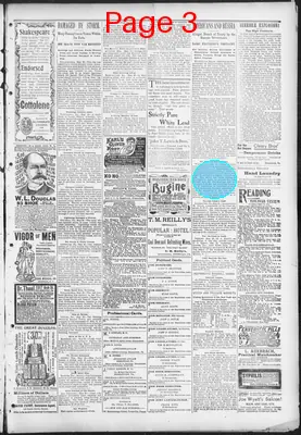 Page thumbnail for The Evening Herald