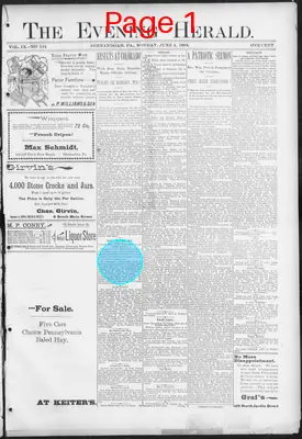 Page thumbnail for The Evening Herald