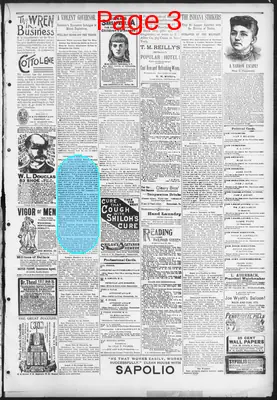 Page thumbnail for The Evening Herald