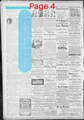 Page thumbnail for The Evening Herald