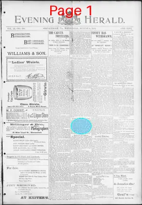 Page thumbnail for The Evening Herald