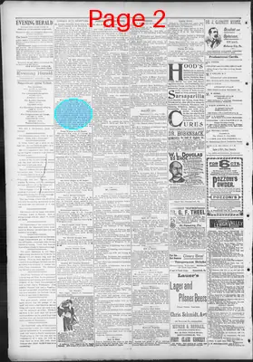 Page thumbnail for The Evening Herald