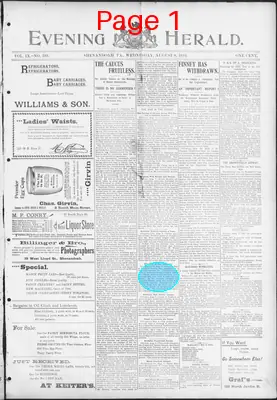 Page thumbnail for The Evening Herald