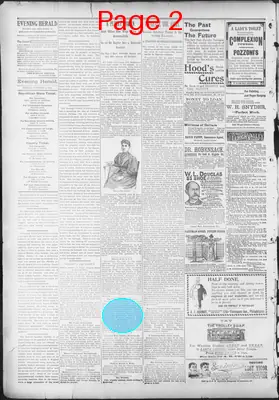 Page thumbnail for The Evening Herald