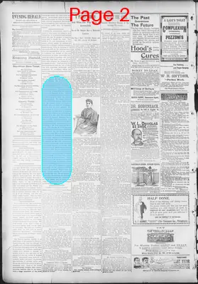 Page thumbnail for The Evening Herald