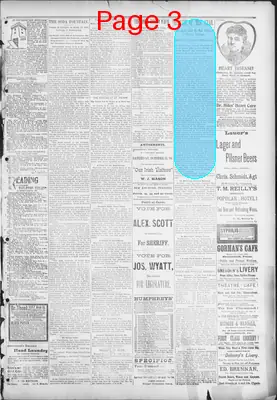 Page thumbnail for The Evening Herald