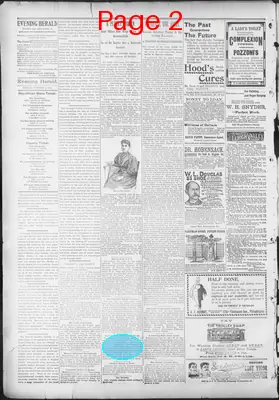 Page thumbnail for The Evening Herald