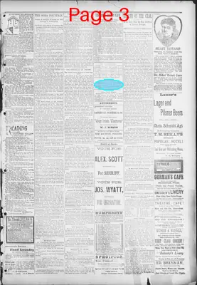 Page thumbnail for The Evening Herald