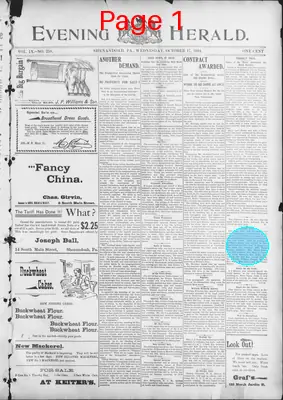 Page thumbnail for The Evening Herald