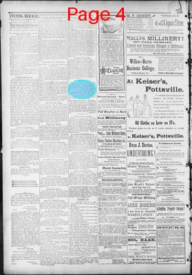 Page thumbnail for The Evening Herald