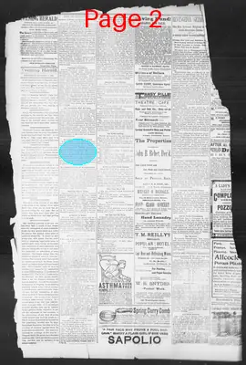 Page thumbnail for The Evening Herald