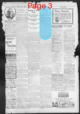 Page thumbnail for The Evening Herald
