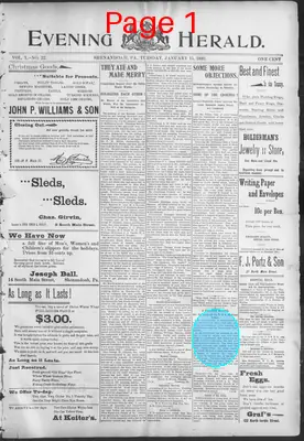 Page thumbnail for The Evening Herald
