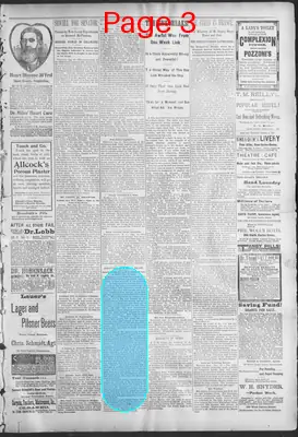 Page thumbnail for The Evening Herald