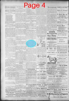 Page thumbnail for The Evening Herald