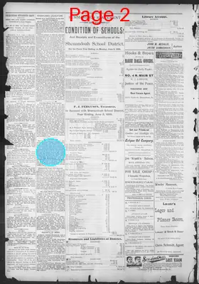 Page thumbnail for The Evening Herald