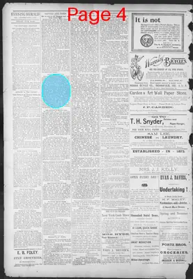 Page thumbnail for The Evening Herald