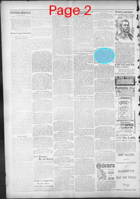 Page thumbnail for The Evening Herald