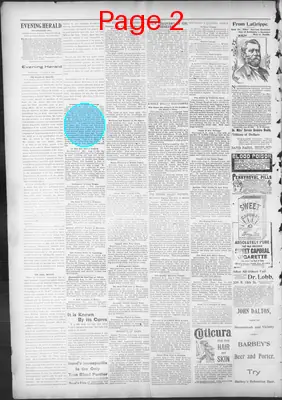 Page thumbnail for The Evening Herald