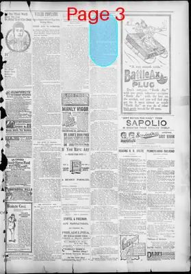 Page thumbnail for The Evening Herald