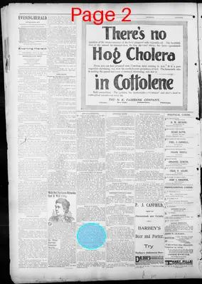 Page thumbnail for The Evening Herald