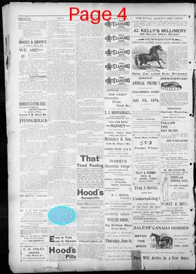 Page thumbnail for The Evening Herald