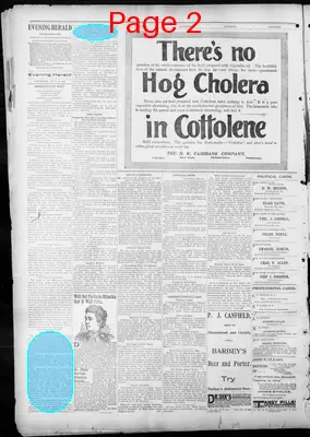 Page thumbnail for The Evening Herald