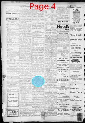 Page thumbnail for The Evening Herald