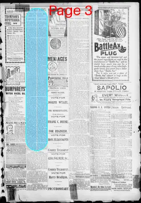 Page thumbnail for The Evening Herald
