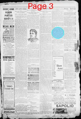 Page thumbnail for The Evening Herald