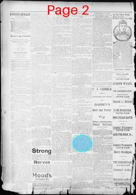 Page thumbnail for The Evening Herald