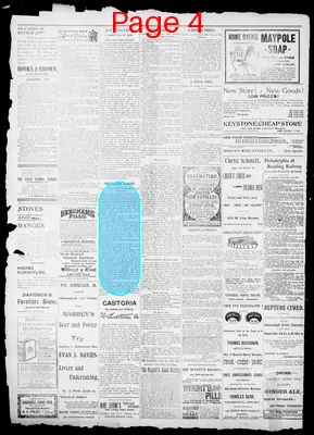 Page thumbnail for The Evening Herald