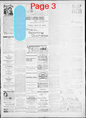 Page thumbnail for The Evening Herald