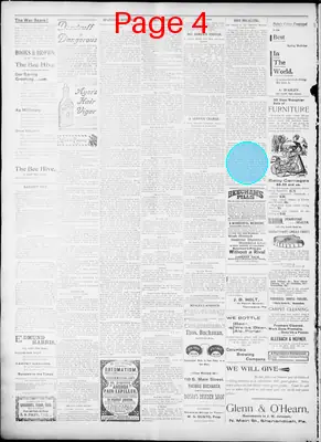Page thumbnail for The Evening Herald