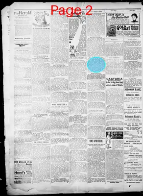 Page thumbnail for The Evening Herald