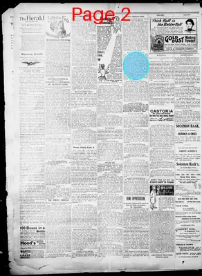 Page thumbnail for The Evening Herald