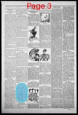 Page thumbnail for The Star